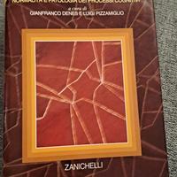Manuale di Neuropsicologia – Zanichelli