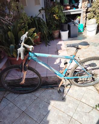 bicicletta 