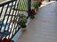 Immagine 22