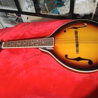Mandolino Richwood