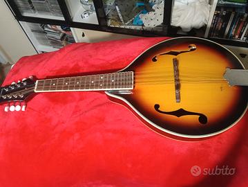 Mandolino Richwood