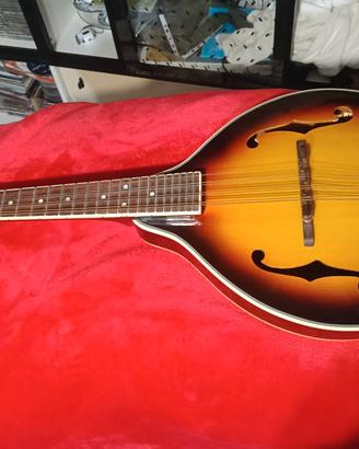 Mandolino Richwood