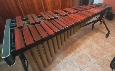Marimba Adams Concert Series MCPV43 Perfetta
