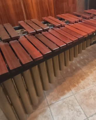 Marimba Adams Concert Series MCPV43 Perfetta