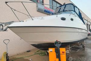 Barca cabinata 8 metri Regal 242 + Mercruyser 5000