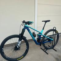 Canyon strive carbonio
