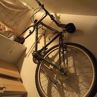Bicicletta mountain bike