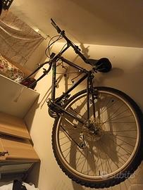 Bicicletta mountain bike