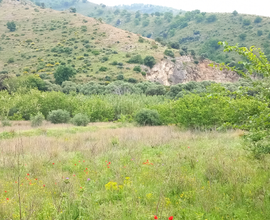 Terreno collinare in SVENDITA