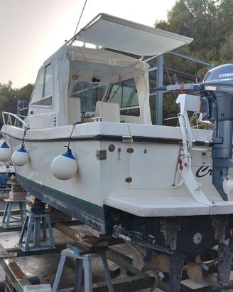 Tuccoli T25 