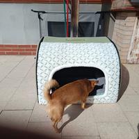 cuccia per cani interno 