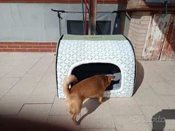 cuccia per cani interno 