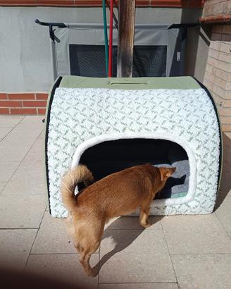 cuccia per cani interno 