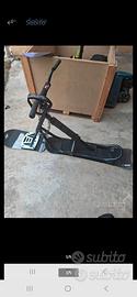 snowscoot/ bici neve