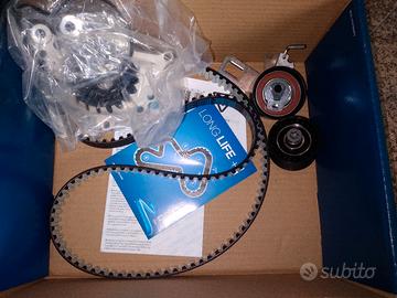 cinghia fase con accessori Peugeot Citroen ford