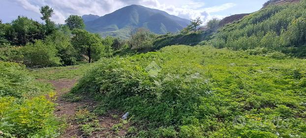 TER. AGRICOLO A NOCERA SUPERIORE