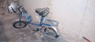 minicaliffo rizzato