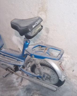 minicaliffo rizzato