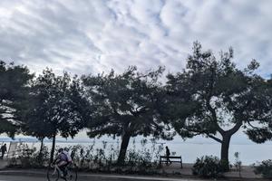 Storica Friggitoria Barcol