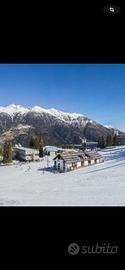 Vigo di Marilleva 27/12-03/01/26
