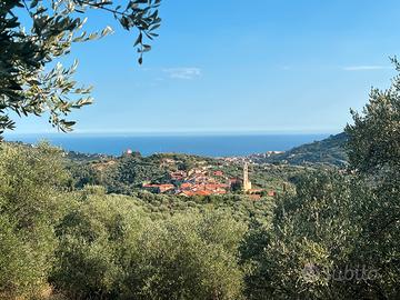 Terreno edificabile Costa d'Oneglia