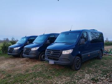 Mercedes Sprinter 317, automatico, 9 posti, full