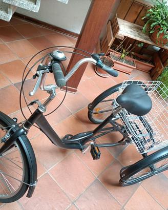 Bicicletta a tre ruote