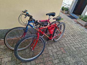 Mtb taglia 26
