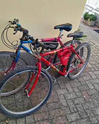 Mtb taglia 26