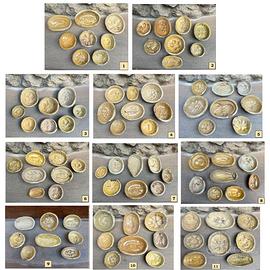 Lotto 8 formine siciliane stampino Caltagirone