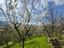 Immagine 14