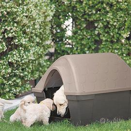 Cuccia cane media / grande – Arcaplanet