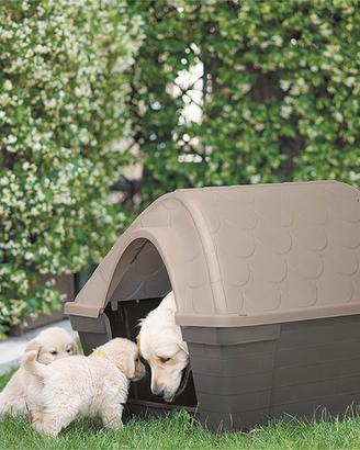 Cuccia cane media / grande – Arcaplanet