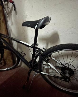 bicicletta Nevada 2024