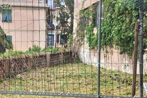 Privato vende giardino