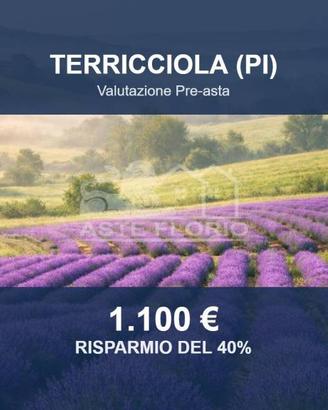 Immobile in asta di 920 m² a Terricciola