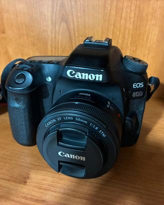 Canon 80D + Sigma 17-70 2.8 + Canon 50 mm 1.8