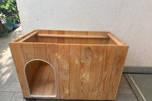 Casetta per cani