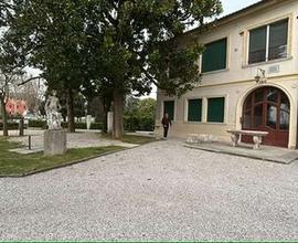 Negozio a Monastier di Treviso