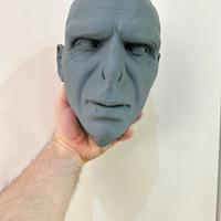 Voldemort harry potter testa 1:1