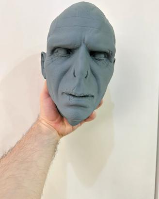 Voldemort harry potter testa 1:1