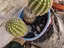 Immagine 2