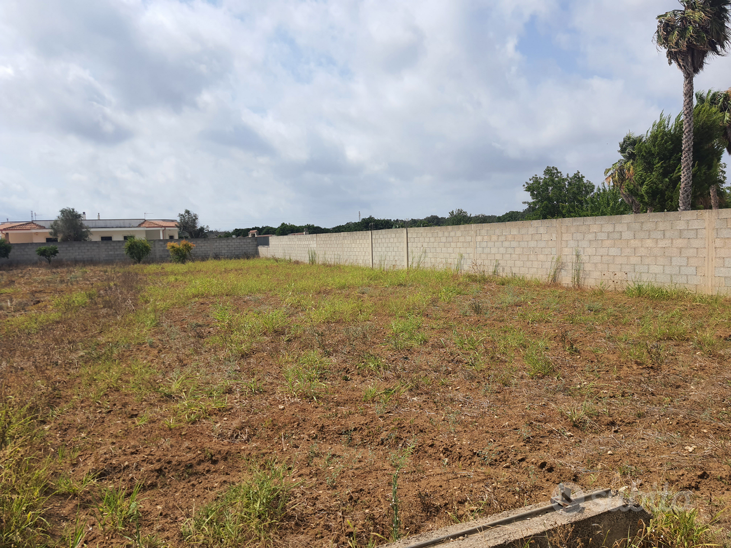 Terreno recintato con alberi da frutto - Vista 5