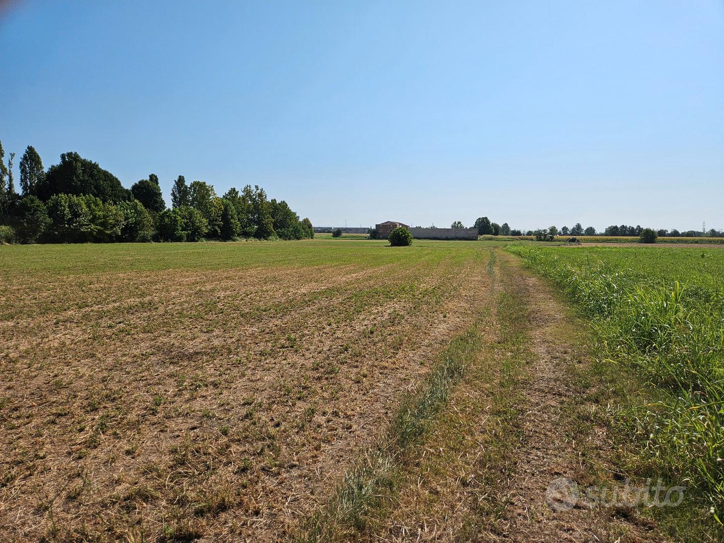 Terreno agricolo - Vista 3