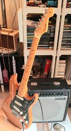 due ampli chitarra elettrica FENDER PEAVEY