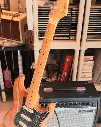 due ampli chitarra elettrica FENDER PEAVEY