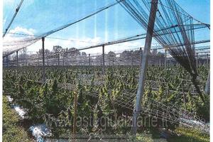 Terreno Agricolo Goito [A4325516]