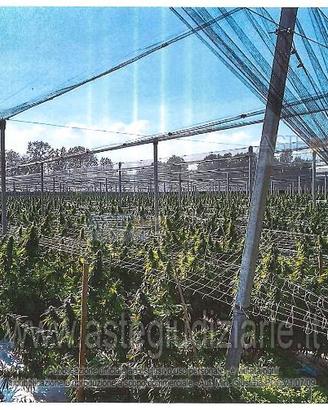 Terreno Agricolo Goito [A4325516]