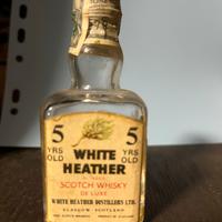 Mignon wiskey da collezione