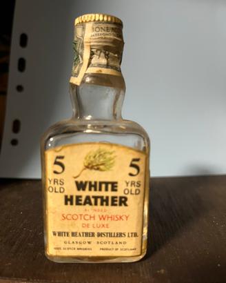 Mignon wiskey da collezione